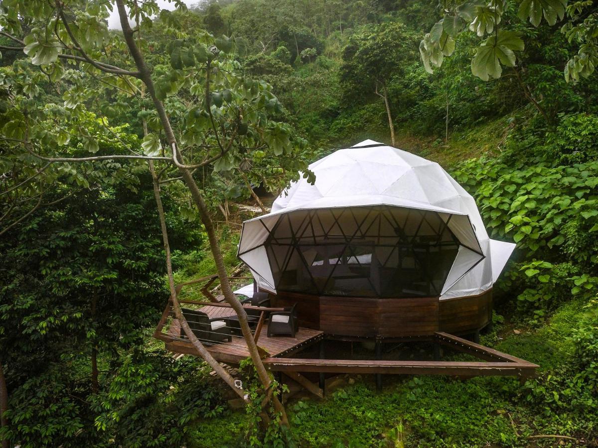 米卡 Trekker Glamping酒店 外观 照片